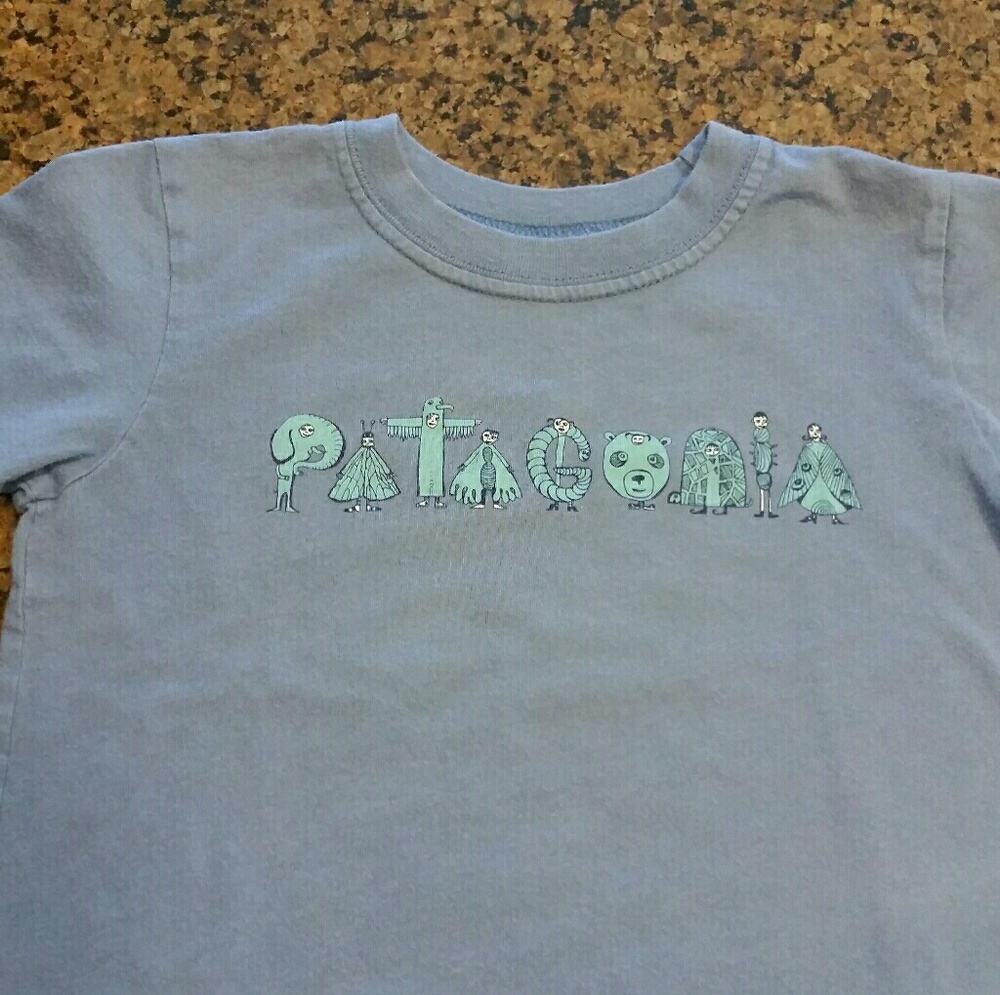 Patagonia Organic T-Shirt